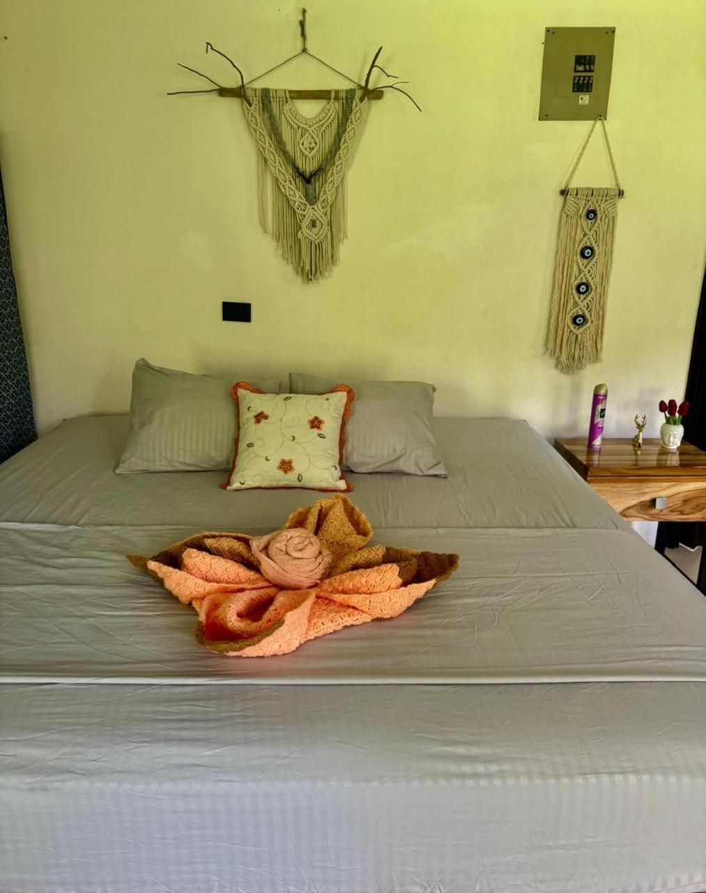 Deer House Cabuya Apartment Cabuya  Exterior photo